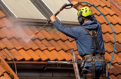 Démoussage et hydrofuge de toiture à Bessenay